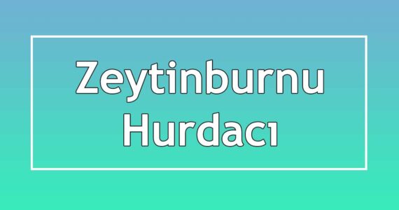 zeytinburnu hurdacı