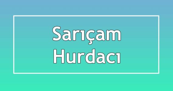 sarıçam hurdacı