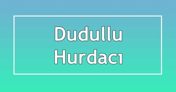 dudullu hurdacıları