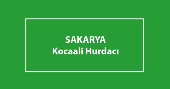 kocaali hurdacı