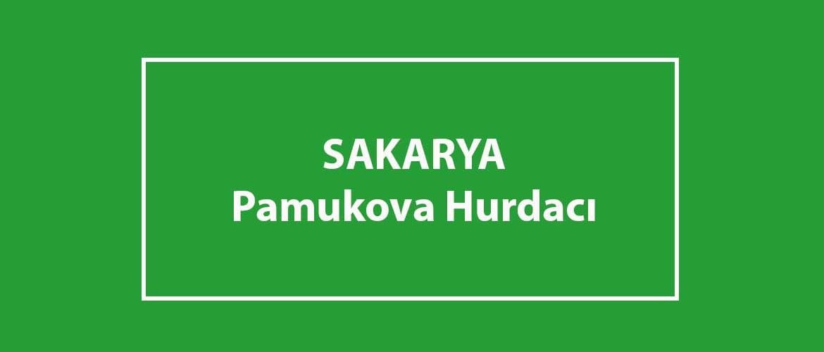 pamukova hurdacı pamukova hurdacı