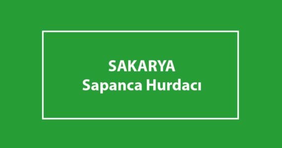 sapanca hurdacı